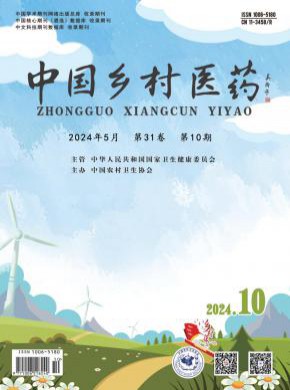 中国乡村医药期刊